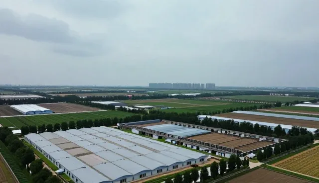 视频剪辑业务如何融合平面设计等多元技能提升竞争力